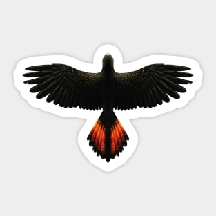 Black Cockatoo Sticker